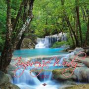 Okładka książki Kalendarz 2021 Ścienny Duży KD-10 IMPRESJE WODY