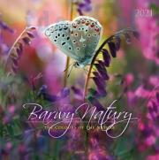 Okładka książki Kalendarz 2021 Ścienny Duży KD-9 BARWY PRZYRODY