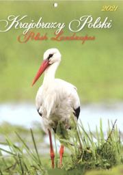 Okładka książki Kalendarz 2021 Ścienny Mały KSM-1 KRAJOBRAZY POLSKI