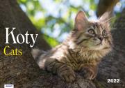 Opakowanie Kalendarz 2022 KA-1 Koty AVANTI