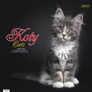 Opakowanie Kalendarz 2022 KAD-9 Koty AVANTI