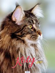 Opakowanie Kalendarz 2022 KSM-4 Koty AVANTI