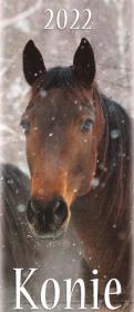 Opakowanie Kalendarz 2022 Pocztówkowy Konie ARTSEZON