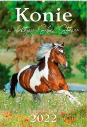 Opakowanie Kalendarz 2022 Reklamowy Konie w obiektywie RW13