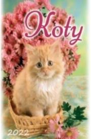 Opakowanie Kalendarz 2022 Ścienny Koty ARTSEZON