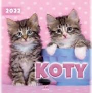 Opakowanie Kalendarz 2022 Ścienny Koty ARTSEZON
