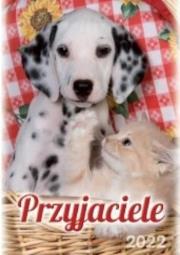Opakowanie Kalendarz 2022 Ścienny Przyjaciele ARTSEZON