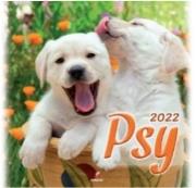 Opakowanie Kalendarz 2022 Ścienny Psy ARTSEZON
