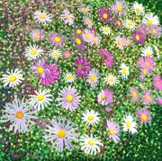 Opakowanie Karnet z kopertą Astry