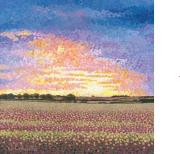 Opakowanie Karnet z kopertą Dzięcielina