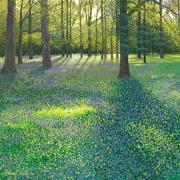 Opakowanie Karnet z kopertą Hiacynty w Wisley