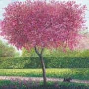 Opakowanie Karnet z kopertą Jabłoń kwiecista