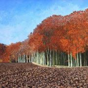 Opakowanie Karnet z kopertą Jesienny buk