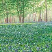 Opakowanie Karnet z kopertą Las dzwonków II