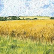 Opakowanie Karnet z kopertą Letnie pola