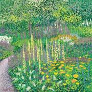 Opakowanie Karnet z kopertą Ogród