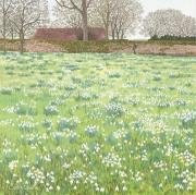 Opakowanie Karnet z kopertą Śnieżyczki