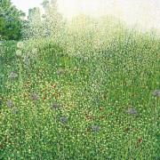 Opakowanie Karnet z kopertą Trawy Harlow Carr