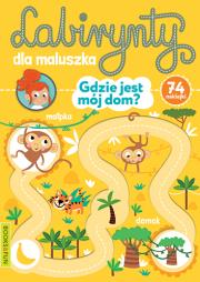 Labirynty dla maluszka. Gdzie jest Mój dom. Autor: Opracowanie zbiorowe. Dadada.pl Okładka książki Labirynty dla maluszka. Gdzie jest Mój dom