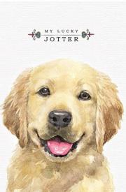 Opakowanie Notatnik ozdobny 105x165/64K kratka TW Golden...