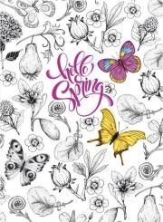 Opakowanie Notatnik ozdobny 145x197/64K kratka TW Motyle