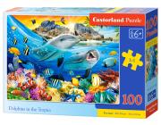 Opakowanie Puzzle 100 Delfiny w tropikach B-111169