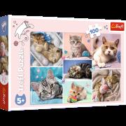 Puzzle 100 W kocim świecie 16420. Wydawca: Trefl PAP. Dadada.pl Opakowanie Puzzle 100 W kocim świecie 16420