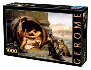 Opakowanie Puzzle 1000 Jean-Leon Gerome, Diogenes