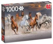 Opakowanie Puzzle 1000 PC Pustynne konie G3
