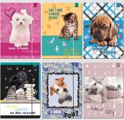 Opakowanie Teczka A4 z gumką Best Friend