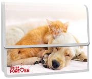 Opakowanie Teczka z klapką na rzepy A4 PP z nadrukiem Friends