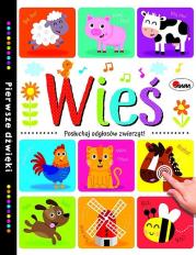 Okładka książki Wieś Pierwsze dźwięki