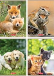 Opakowanie Zeszyt A4/32K linia Animals (10szt)