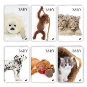 Opakowanie Zeszyt A5 32K kratka BABY pakiet 20 sztuk