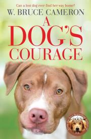 A Dog's Courage. Autor: W. Bruce Cameron. Dadada.pl Okładka książki A Dog's Courage