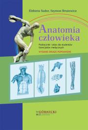 Anatomia człowieka. Autor: Suder Elżbieta, Brużewicz Szymon. Dadada.pl Okładka książki Anatomia człowieka