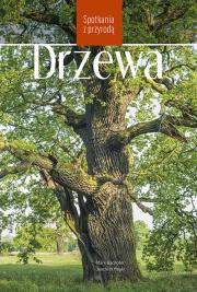 Drzewa. Spotkania z przyrodą. Autor: Mark Bachofer, Joachim Mayer. Dadada.pl Okładka książki Drzewa. Spotkania z przyrodą