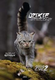 Kalendarz 2022 Dzikie Bieszczady. Autor: Matysiak Mateusz. Dadada.pl Okładka książki Kalendarz 2022 Dzikie Bieszczady