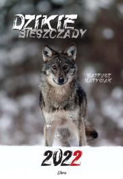 Kalendarz 2022 Dzikie Bieszczady. Autor: Matysiak Mateusz. Dadada.pl Okładka książki Kalendarz 2022 Dzikie Bieszczady