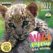 Opakowanie Kalendarz 2022 ścienny Classic Wild puppies