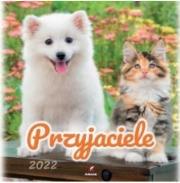 Opakowanie Kalendarz 2022 Ścienny Przyjaciele ARTSEZON