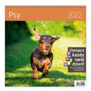 Opakowanie Kalendarz 30 x 30 z naklejkami. Psy 2022