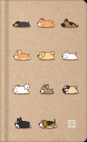 Opakowanie Kalendarz tygodniowy 2022 Craft psy ALBI