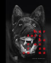 Okładka książki Kartoteka rozrzucona