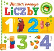 Książeczka mądrego dziecka. Maluch poznaje liczby. Autor: Sylwia Kajdana. Dadada.pl Okładka książki Książeczka mądrego dziecka. Maluch poznaje liczby