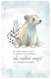 Opakowanie Magnes na lodówkę - misiu