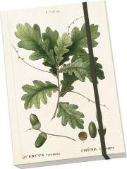 Opakowanie Notatnik ozdobny A5 STNOTE 52 Żołądź