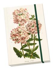 Opakowanie Notatnik ozdobny A5 STNOTE 70 Pelargonia