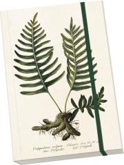 Opakowanie Notatnik ozdobny A5 STNOTE 81 Paproć