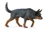 Okładka książki Pies Australian Catele